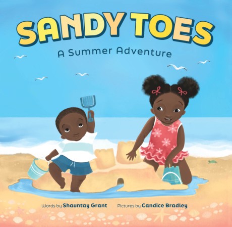Cover image for Sandy Toes: A Summer Adventure (A Let's Play Outside! Book)