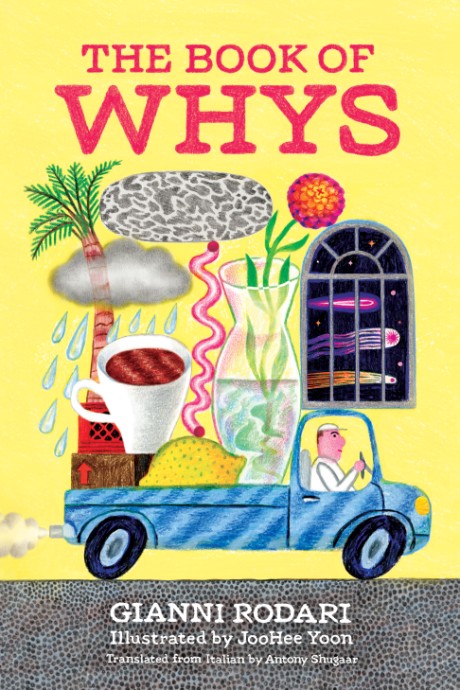Cover image for Book of Whys